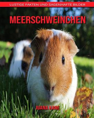 Book cover for Meerschweinchen