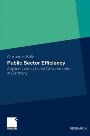 Cover of Public Sector Efficiency