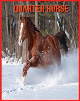 Book cover for Quarter Horse