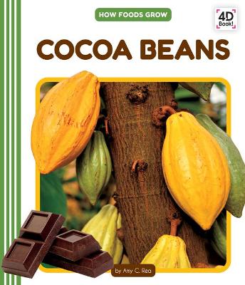 Book cover for Cocoa Beans