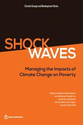 Cover of Shock Waves