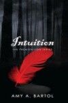 Book cover for Intuition