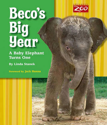 Book cover for Beco's Big Year