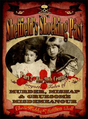 Book cover for Sheffield's Shocking Past