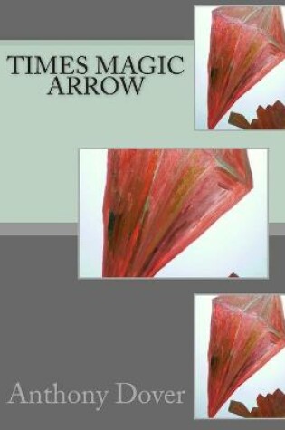 Cover of Times Magic Arrow