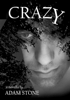 Book cover for CRAZY