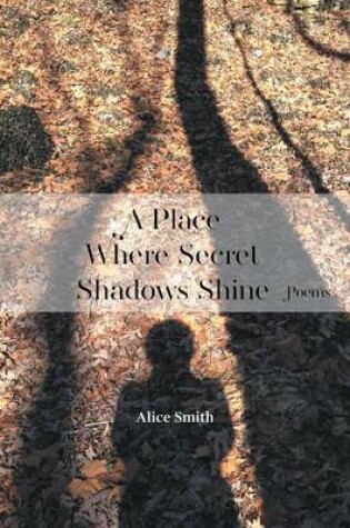 Cover of A Place Where Secret Shadows Shine