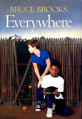 Book cover for Everywhere