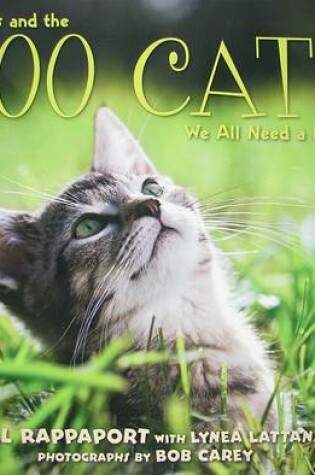 Cover of 500 Cats