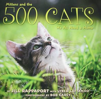 Book cover for 500 Cats