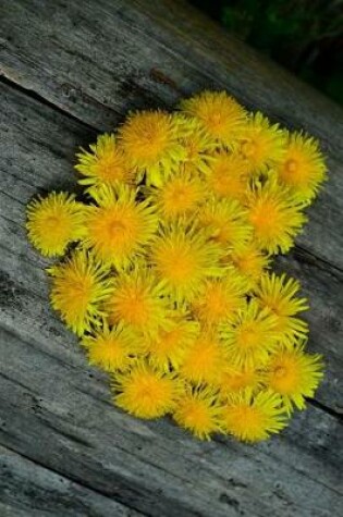 Cover of Dandelion Flower Heart Journal