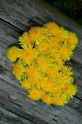 Book cover for Dandelion Flower Heart Journal