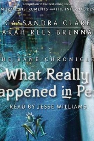 Cover of What Really Happened in Peru