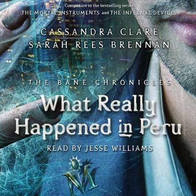 Book cover for What Really Happened in Peru