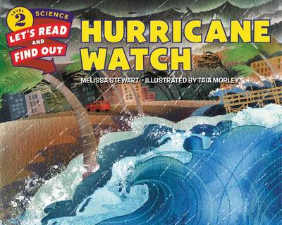 Book cover for Hurricane Watch