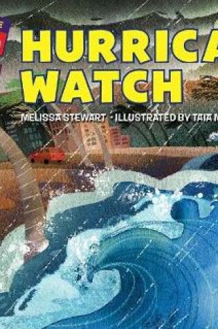 Cover of Hurricane Watch