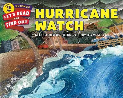 Book cover for Hurricane Watch