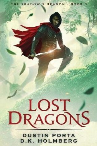 Cover of Lost Dragons