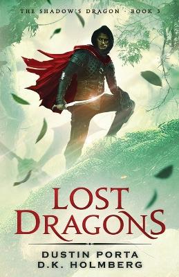 Book cover for Lost Dragons