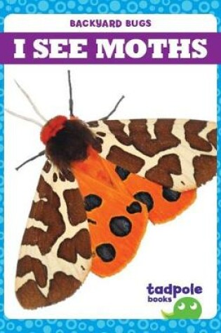 Cover of I See Moths