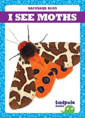 Book cover for I See Moths