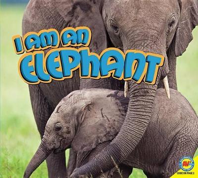 Cover of I Am an Elephant