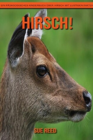 Cover of Hirsch! Ein pädagogisches Kinderbuch über Hirsch mit lustigen Fakten