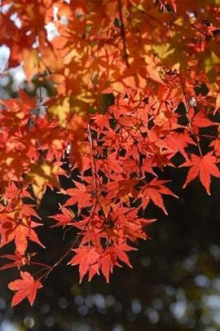 Cover of A Cascade of Autumn Leaves Journal