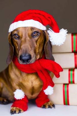 Book cover for Dachshund Wearing a Santa Hat Journal