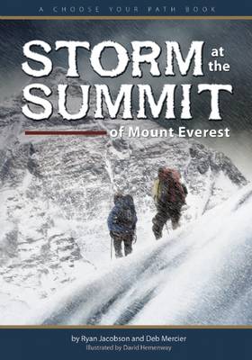 Book cover for Storm at the Summit of Mount Everest
