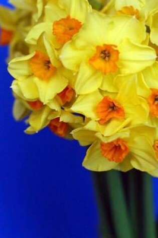 Cover of Website Password Organizer, Yellow Daffodil Flower Arrangement