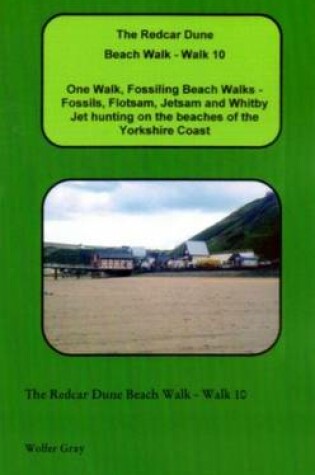 Cover of The Redcar Dune Beach Walk - Walk 10