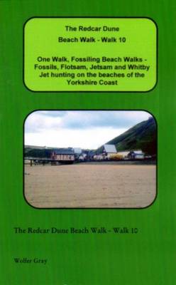 Book cover for The Redcar Dune Beach Walk - Walk 10