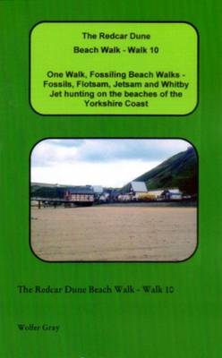 Cover of The Redcar Dune Beach Walk - Walk 10