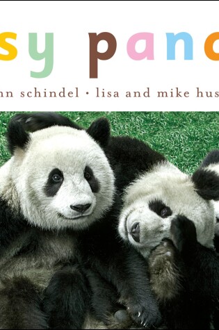 Cover of Busy Pandas