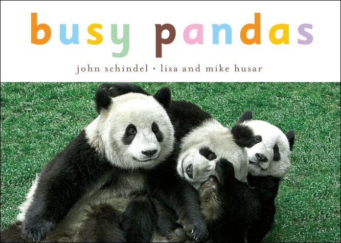 Cover of Busy Pandas