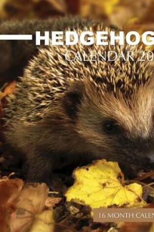 Cover of Hedgehogs Calendar 2016