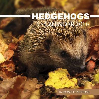 Book cover for Hedgehogs Calendar 2016