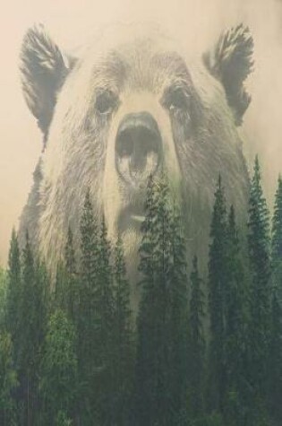 Cover of Bear Wilderness
