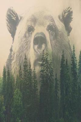 Book cover for Bear Wilderness
