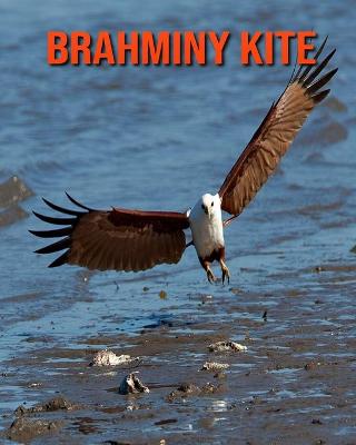 Book cover for Brahminy kite