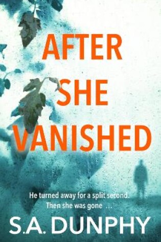 Cover of After She Vanished