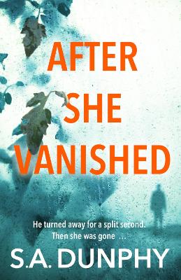 Book cover for After She Vanished