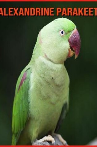 Cover of Alexandrine Parakeet