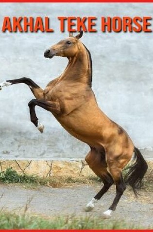 Cover of Akhal Teke Horse