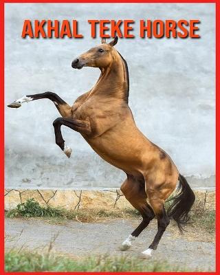 Book cover for Akhal Teke Horse