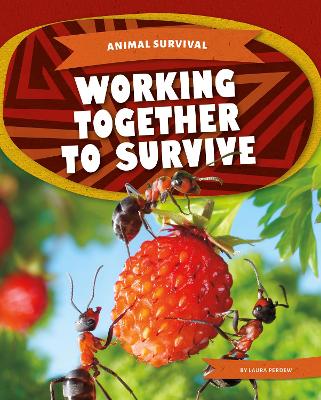 Book cover for Animal Survival: Working Together to Survive
