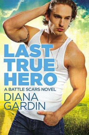 Cover of Last True Hero