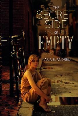 Book cover for The Secret Side of Empty