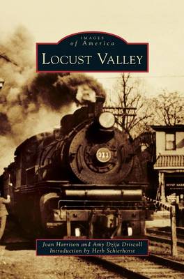 Book cover for Locust Valley
